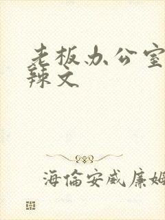 老板办公室系列辣文