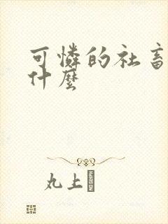 可怜的社畜讲的什么