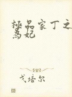 极品家丁之册母为妃封面