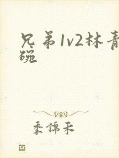 兄弟1v2林青碗封面
