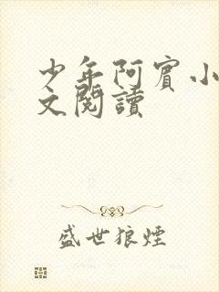 少年阿宾小说全文阅读