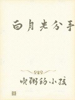 白月光分手日常