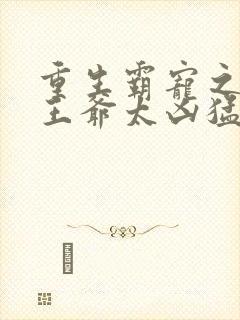 重生霸宠之摄政王爷太凶猛