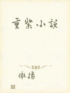 重紫小说