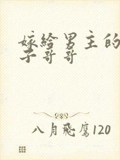 嫁给男主的病秧子哥哥