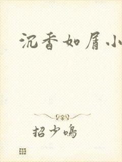 沉香如屑小说封面