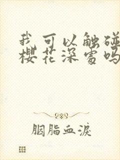 我可以触碰你的樱花深处吗