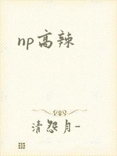 np高辣