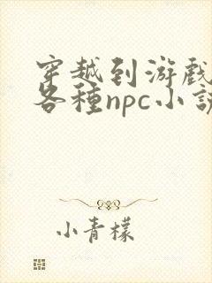 穿越到游戏里和各种npc小说