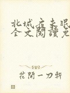 北城夜未眠小说全文阅读免费