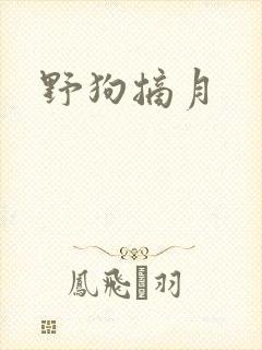 野狗摘月