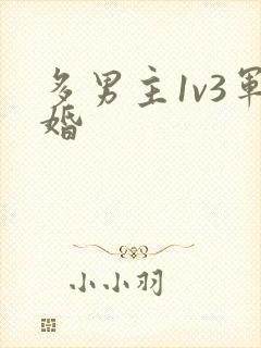 多男主1v3军婚
