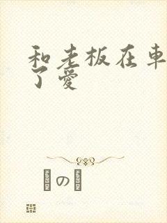 和老板在车里做了爱