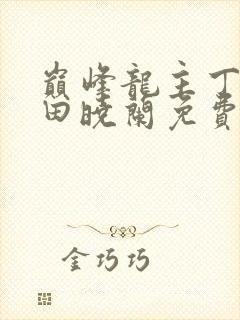 巅峰龙主丁长顺田晓兰免费阅读封面