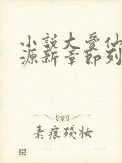 小说大爱仙尊方源新章节列表封面