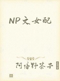 NP文女配