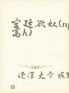 宫廷欲奴(np高h)