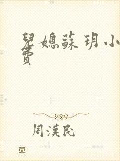 儿媳苏玥小说免费封面