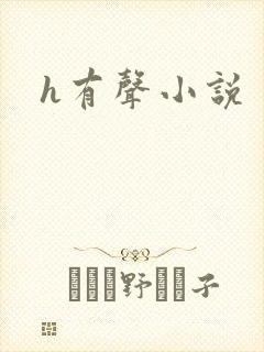 h有声小说