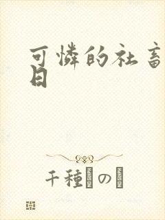 可怜的社畜东度日封面