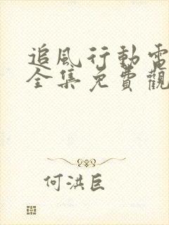 追风行动电视剧全集免费观看