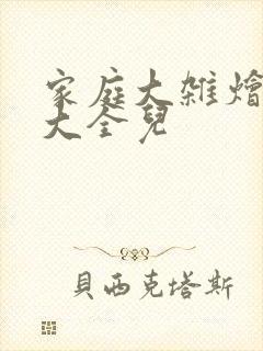 家庭大杂烩小说大全儿