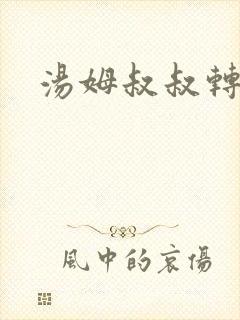 汤姆叔叔转接口