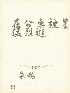 在公车被农民工猛烈进