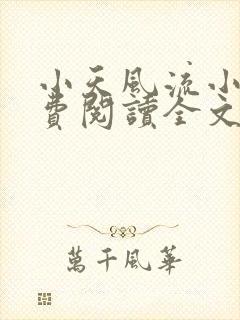 小天风流小说免费阅读全文最新章节