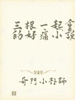 三根一起会坏掉的好痛小说