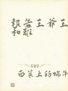 报告王爷王妃要和离