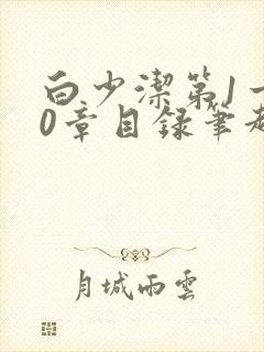 白少洁第1一40章目录笔趣阁封面