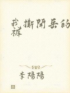 我撕开岳的丁字裤封面