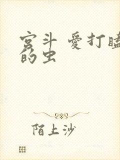 宫斗 爱打瞌睡的虫封面