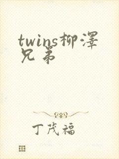 twins柳泽兄弟封面