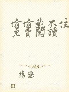 偷偷藏不住小说免费阅读封面