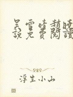 吴雪晴赵晓东小说免费阅读