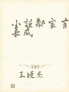 小说邻家有女初长成封面