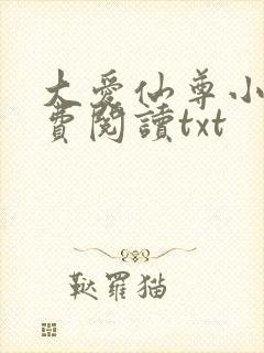 大爱仙尊小说免费阅读txt