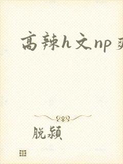 高辣h文np爽