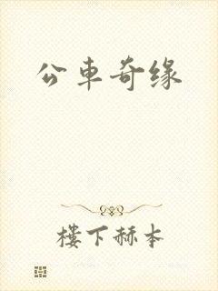 公车奇缘