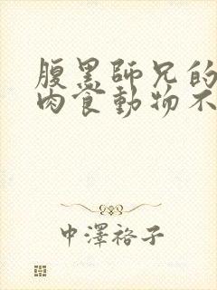 腹黑师兄的日常肉食动物不食草