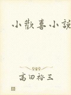 小欢喜小说