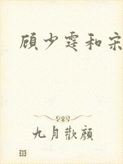 顾少霆和宋斯曼封面