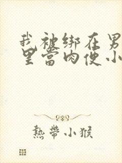 我被绑在男公厕里当肉便小说