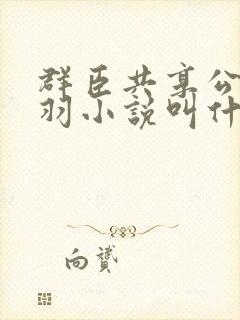 群臣共享公主银羽小说叫什么