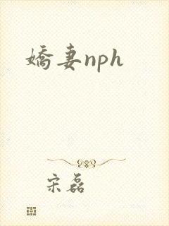 娇妻nph