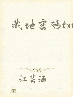 藏地密码txt封面