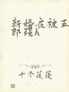 新婚夜被五个伴郎强h封面