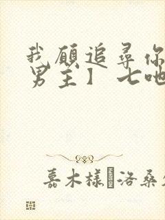 我愿追寻你【双男主】 七吔封面